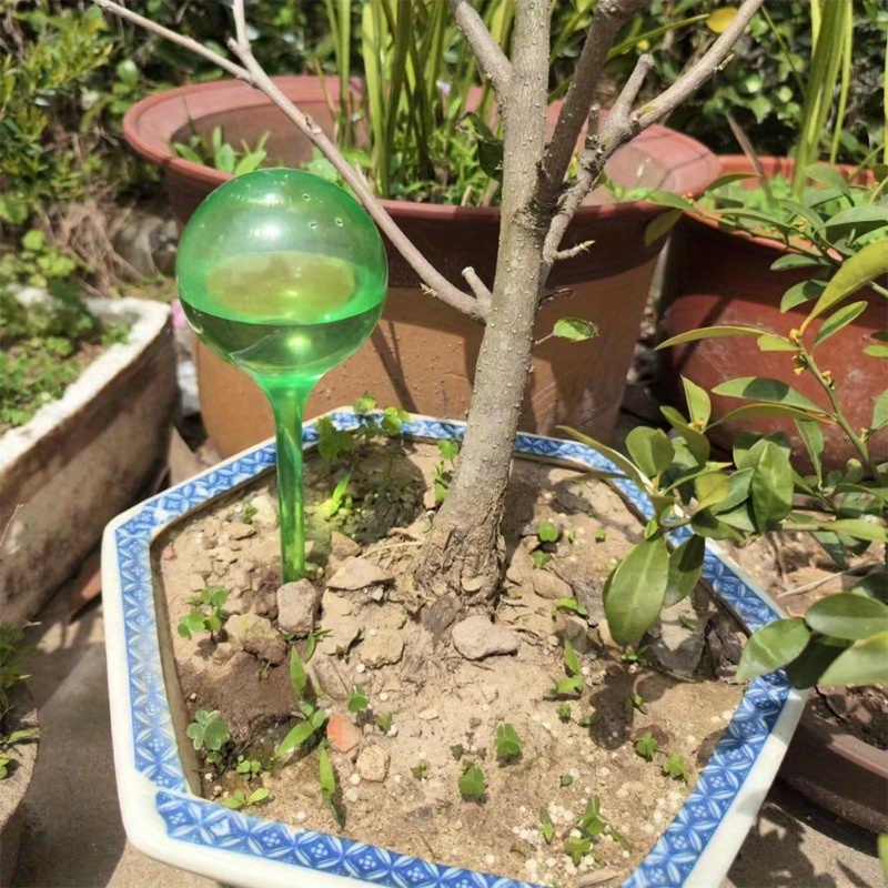 6個入り 室内植物用自動給水ボール 自動植物花水球 ドリップ - Smart Garden Sprinkler System のレビューと価格