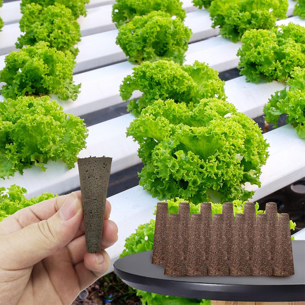 50 個の種子成長スポンジ交換用根成長ポッド水耕苗スターター - Aerogarden Seed Pod のレビューと価格