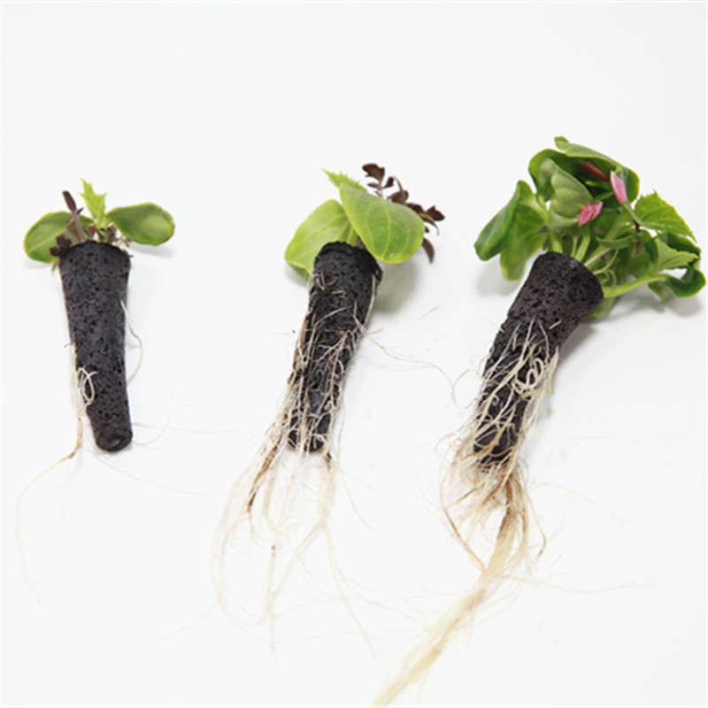 水耕栽培用の無土壌成長スポンジキット,種子ポッド,園芸植物バ - Aerogarden Seed Pod のレビューと価格